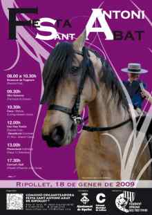 Festa Sant Antoni Abat