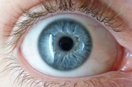 Bona acollida de la Setmana del Glaucoma inclosa al Cicle Més Salut -Imatge 1-