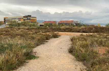 L'Ajuntament encarrega un nou estudi sobre la demanda de places de residència després de la COVID-19