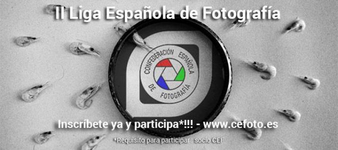 Acció Fotogràfica Ripollet, segona a la Lliga Espanyola de Fotografia -Imatge 1-