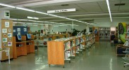 Biblioteca Municipal -Imatge 4-