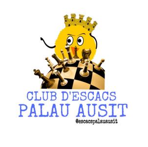 Ascens del Club d'Escacs Palau Ausit -Imatge 1-