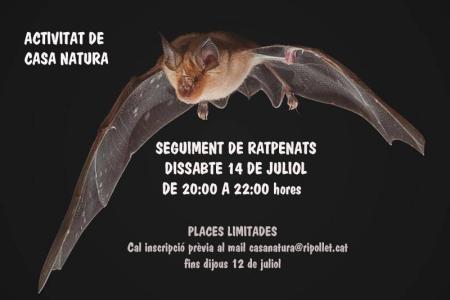 Casa Natura organitza un seguiment de ratpenats el dissabte 14 de juliol -Imatge 1-