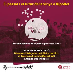 Ripollet Vital: El passat i el futur de la vinya a Ripollet -Imatge 1-