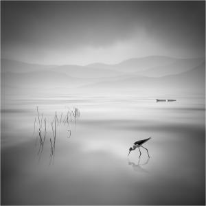 Sergi Tello, d'Acció Fotogràfica, ha assolit la medalla de plata a la Copa del Món de fotografia -Imatge 1-