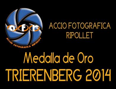Medalla d'or per Acció Fotogràfica Ripollet a Àustria  -Imatge 1-