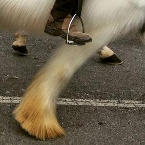 Núria Duran guanya el 1r Concurs d'Instagram de Tres Tombs organitzat per Afocer -Imatge 1-