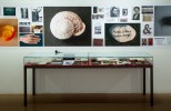 Història i art a les noves exposicions del Centre Cultural -Imatge 2-