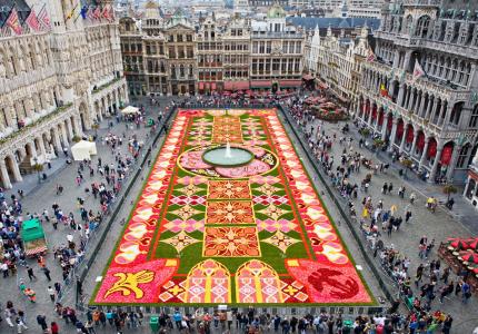 Cultura i Tradició participarà en la confecció de la catifa de la Gran Place de Brussel·les -Imatge 1-