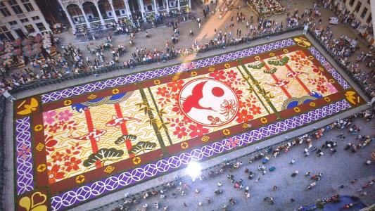 Cultura i Tradici participa en la catifa de flors a la Grand Place a Brusselles amb els seus tints -Imatge 1-