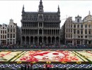 Cultura i Tradici participa en la catifa de flors a la Grand Place a Brusselles amb els seus tints -Imatge 4-
