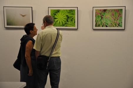 El Centre Cultural inaugura exposicions sobre la natura i Ramon Llull -Imatge 1-
