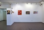 Noves exposicions del Centre Cultural -Imatge 2-