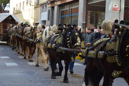 El 125 aniversari de la Festa de Sant Antoni Abat arriba a Ripollet -Imatge 1-