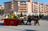 Ripollet gaudeix d'una nova edició dels Tres Tombs -Imatge 4-