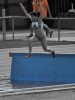 El RUA als Campionats d'Espanya Cadet i Catalunya Promesa -Imatge 2-