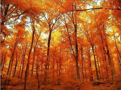 En marxa l'Agenda de Tardor de la Casa Natura -Imatge 1-