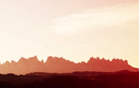 Ripollet col·labora amb el roure del tricentenari -Imatge 1-