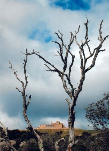 Es convoca el quart concurs fotogràfic del Vallès Natural -Imatge 1-