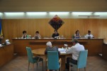 El Ple Municipal aprova l'organització i les retribucions dels electes -Imatge 2-