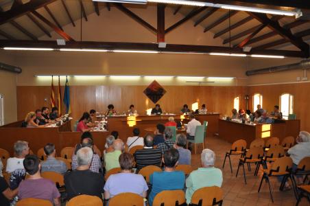El Ple Municipal aprova per unanimitat el rebuig a les amenaces d'Endesa -Imatge 1-