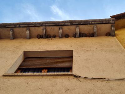 L'Ajuntament de Ripollet recorda la necessitat de protegir els ocells que nidifiquen als edificis -Imatge 1-