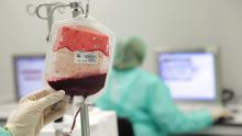 Donacions de sang - 11 al 13 de de maig