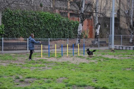 Ripollet ja compta amb el primer espai per a gossos al parc de Ferran Ferré  -Imatge 1-