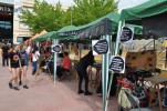 La plaça de Joan Abat s'omple de gom a gom amb el 1r Aplec d'Experiències Participatives -Imatge 2-
