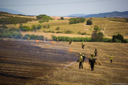 Un incendi a prop del camí de la Serra, a l'alçada de Padró, crema 12 hectàrees de vegetació -Imatge 1-