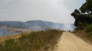 Un incendi a prop del camí de la Serra, a l'alçada de Padró, crema 12 hectàrees de vegetació -Imatge 4-