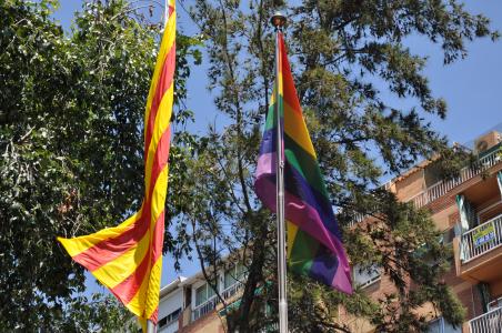 L'Ajuntament commemora el Dia contra la LGTBIfòbia -Imatge 1-