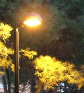 El parc Gassó Vargas estrena nova il·luminació -Imatge 1-