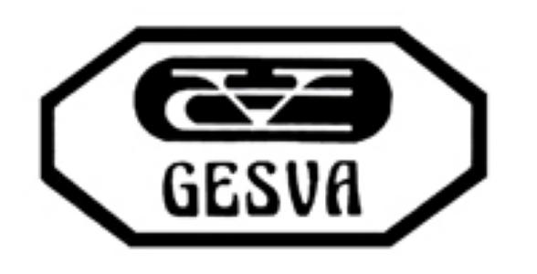 Gesva -Imatge 1-